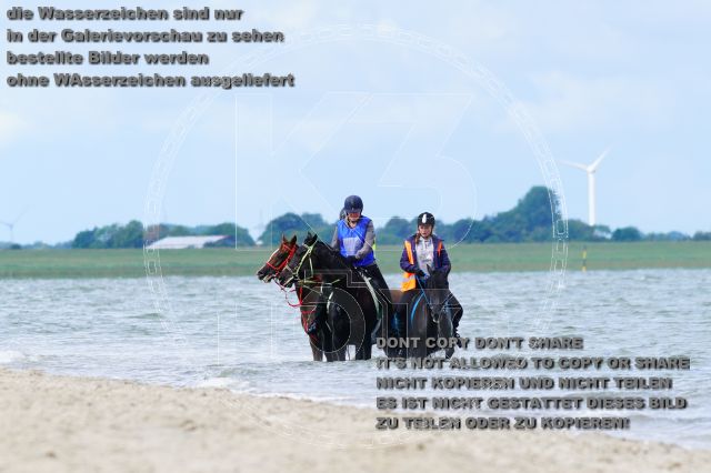 s_K3F05067.JPG